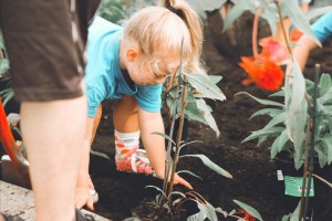 Featured Image for “The soil of community”