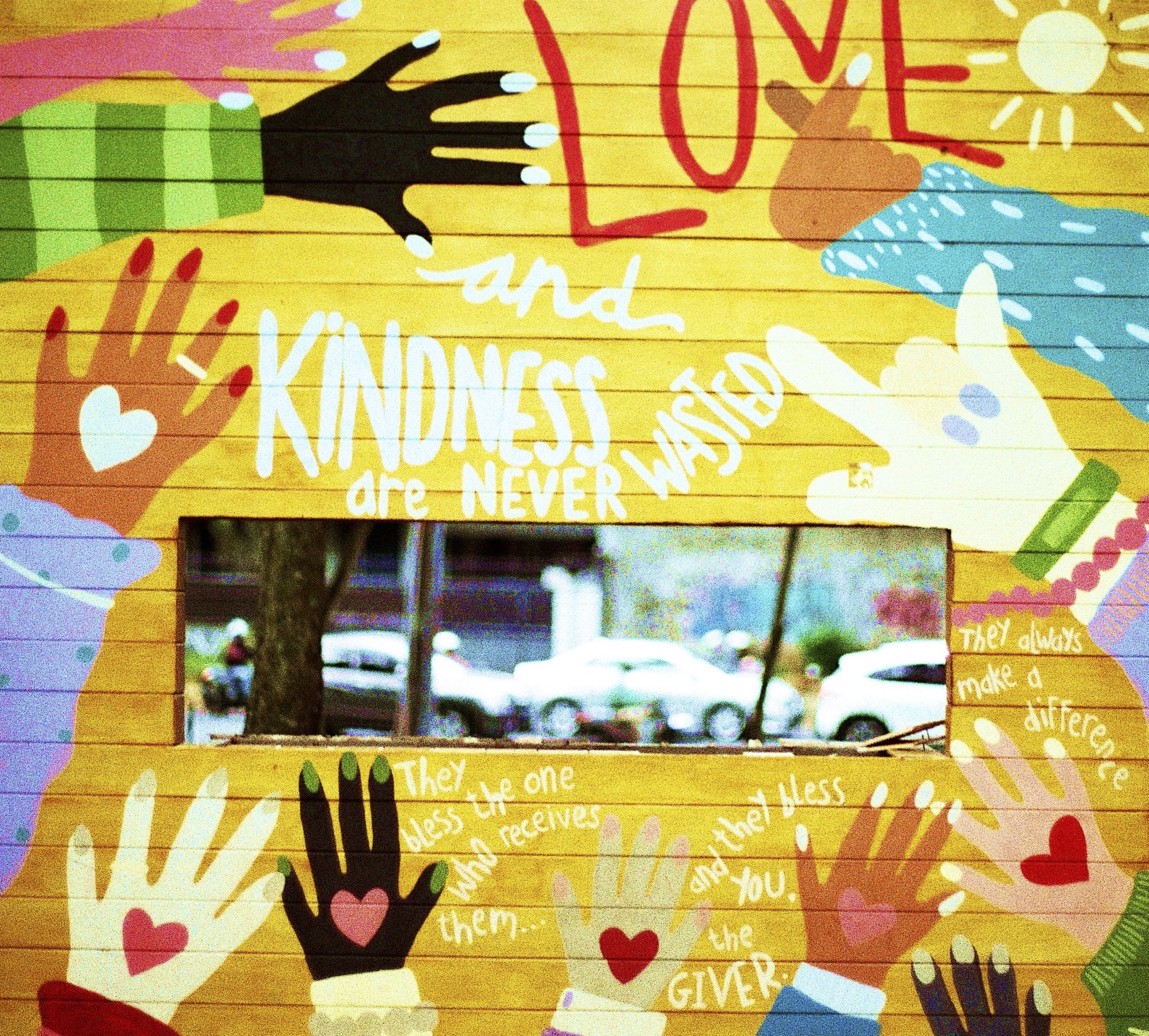 Featured Image for “The Power of Loving Kindness”